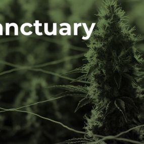 Bild von Sanctuary Medicinals