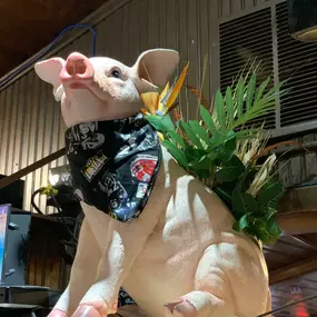 Marlowe's decor pig