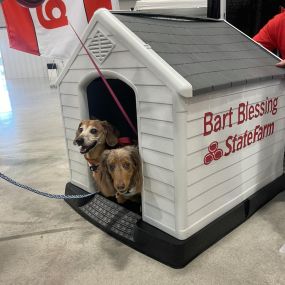 The 2nd Annual Ocala Pet Palooza 2024????????????????

Congratulations to Lea Falck owner of Fuff Land performance kennels for winning the prize Bart Blessing dog house ????

Can’t wait to see you all next year!????