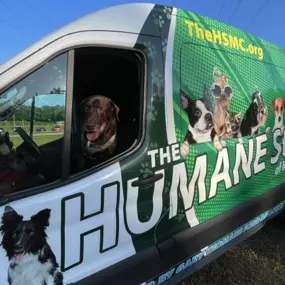 Thank you Humane Society of Marion County Florida for inviting us to the 5k Dog Mom Run/Walk. We had so much fun with all of the fur babies! Thank you Stephanie and Willow for walking for us????can’t wait for next year!