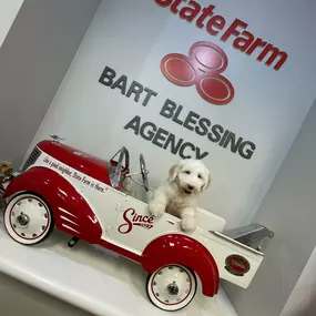 Bart Blessing - State Farm Insurance Agent