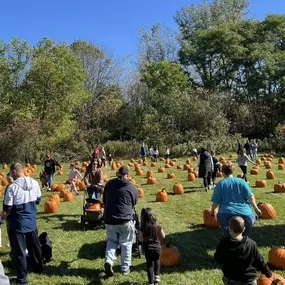 Thank You, Thank You, Thank You for another HUGELY SUCCESSFUL PUMPKIN GIVEAWAY!297 pumpkins  made their way home with excited children to be carved or painted!!! I am still in awe of how amazing our community is! We LOVE hosting these fun events & we are so very THANKFUL for the support we get from all of you!!! The weather was perfect! The treats were delicious!! And the best part was seeing so many happy and excited children running around enjoying themselves and picking their favorite pumpkin