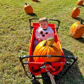 Thank You, Thank You, Thank You for another HUGELY SUCCESSFUL PUMPKIN GIVEAWAY!297 pumpkins  made their way home with excited children to be carved or painted!!! I am still in awe of how amazing our community is! We LOVE hosting these fun events & we are so very THANKFUL for the support we get from all of you!!! The weather was perfect! The treats were delicious!! And the best part was seeing so many happy and excited children running around enjoying themselves and picking their favorite pumpkin