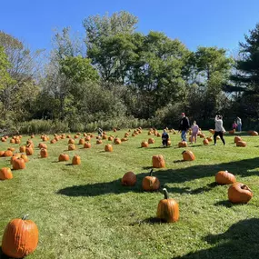 Thank You, Thank You, Thank You for another HUGELY SUCCESSFUL PUMPKIN GIVEAWAY!297 pumpkins  made their way home with excited children to be carved or painted!!! I am still in awe of how amazing our community is! We LOVE hosting these fun events & we are so very THANKFUL for the support we get from all of you!!! The weather was perfect! The treats were delicious!! And the best part was seeing so many happy and excited children running around enjoying themselves and picking their favorite pumpkin