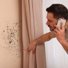 Air Quality
And Mold Experts