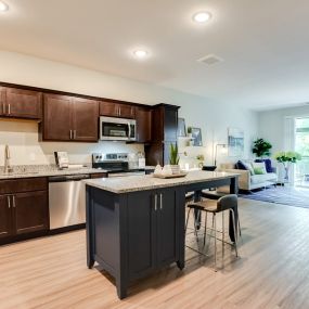 Kitchen and Living Space