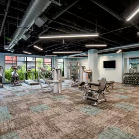 Fitness Area