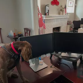 Happy National Bring Your Dog to Work Day!
Today we’re celebrating our furry coworkers who make every workday brighter. Did you know we can help protect your best friend too?
With pet insurance, you can give them the care they deserve — because they’re more than just pets, they’re family!