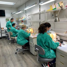 Laboratorio Dental -  La Vid Dental Lab