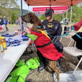 We had a great time sponsoring the Hearts With A Mission Superhero Run! Gave away lots of swag, met a lot of awesome people and played with super pups. It was so good to see the turn out and fun cheering on all of the runners from little kids to a 91 year old. Looking forward to next year!