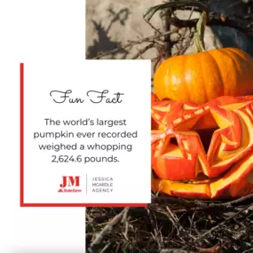 Did you know that the world’s largest pumpkin ever recorded weighed a whopping 2,624.6 pounds? That’s one giant jack-o'-lantern!