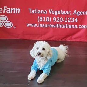 Tatiana Vogelaar - State Farm Insurance Agent