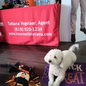 Squishy worked very hard on getting the office Halloween-ready. Stop by for a treat ????????????????????