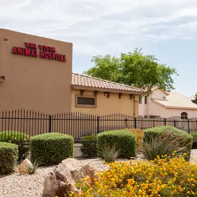 Val Vista Animal Hospital