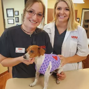 Bild von Sienna Plantation Animal Hospital