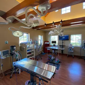 Bild von Sienna Plantation Animal Hospital