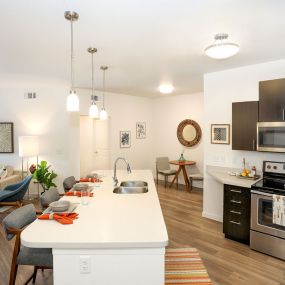 Open Kitchen and Living Room