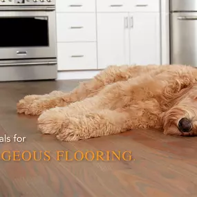 Waterproof Flooring