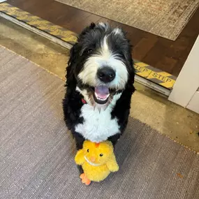Bear and his Easter chick are wishing you a Happy Easter!