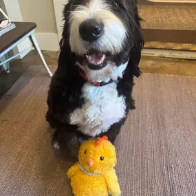 Bear and his Easter chick are wishing you a Happy Easter!