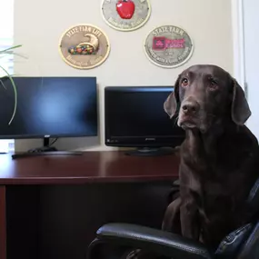 Happy Pet at the Office Day from Betty and the team at Matt Springer State Farm!