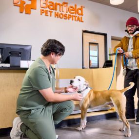 Bild von Banfield Pet Hospital - OPENING SOON!