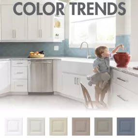 The N-Hance Cabinet Color Trends Book