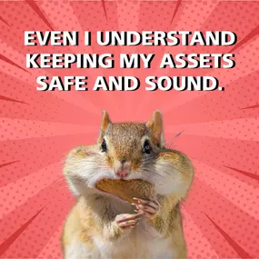 When squirrels are winning in the insurance game. Keep your 'nuts', no matter the size, secure with us!