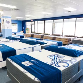 Bild von Texas Mattress Makers - The Woodlands