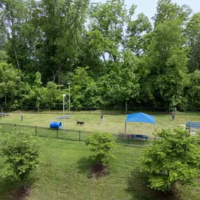 Onsite large dog park at Camden Franklin Park