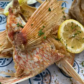 SOUTHERLEIGH’S FAMOUS SNAPPER THROATS