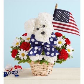 EXCLUSIVE Unleash smiles with our Yankee Doodle Doggie. Crafted from red and white blooms, this patriotic flower pup comes complete with a decorative ribbon and a mini American flag. Whether it’s to honor a brave service person in your life or celebrate a patriotic holiday in style, it’s truly original gift full of pride for the USA. • One-sided 3D arrangement with red mini carnations, white carnations and daisy poms; accented with assorted greenery • Crafted into the shape of a dog, complete wi