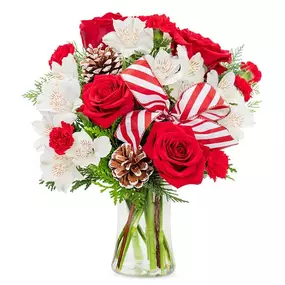 Bring joy to their world. This joyful bouquet is gathered with a swirl of red & white blooms. Snowy-tipped pinecones and a festive ribbon add to the charm. Hand-designed and delivered by our local florists, it’s just the gift to get them into the holiday spirit.