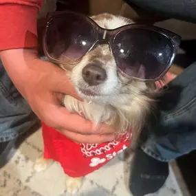 Lookin extra cool for national sunglasses day!