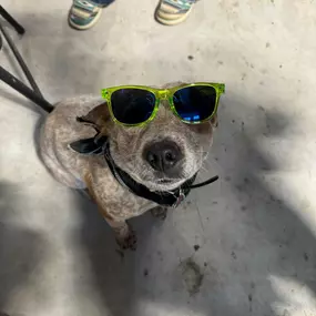 Lookin extra cool for national sunglasses day!