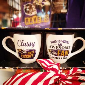 Got a Ravens fan on your list? 
Check out these awesome gifts at Disco Sports!????