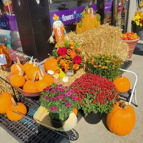 Fall is here! Fresh flowers, pumpkins, outdoor mums, we have it all ????