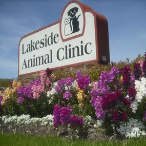 Bild von Lakeside Animal Clinic