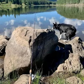 Bandit is fishing and living his best life! Call us today for a free life insurance quote!