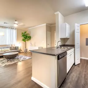 Living Room and Kitchen