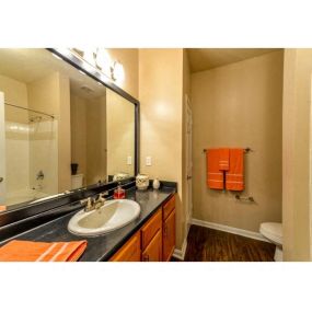 Spacious Bathroom with Relaxing Garden Tub at Legacy Farm Apartments