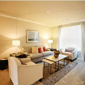 Gorgeous Modern Living Room with Bright White Crown Moulding, Tray Ceilings and Estate Tan Walls plus Wood Burning Fireplaces at Legacy Farm Apartments