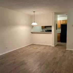 Living Room and Kitchen