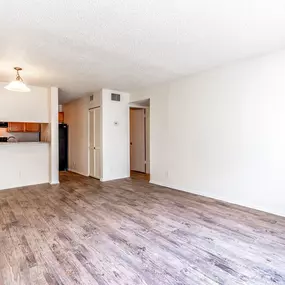 Spacious living room and kitchen