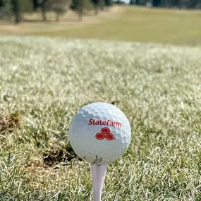 Happy Masters Week! ⛳️ Let us help you master your insurance needs and get a State Farm golf ball!