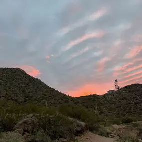 Out in the Arizona dessert