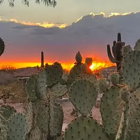 Arizona Outdoors