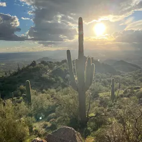 Out in the Arizona dessert