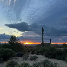 Arizona desert