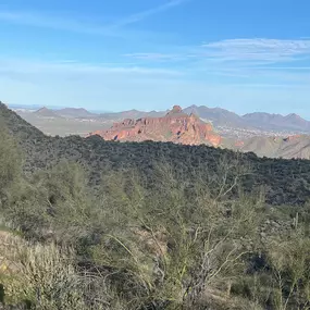 Arizona Dessert